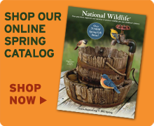 Shop our online spring catalog